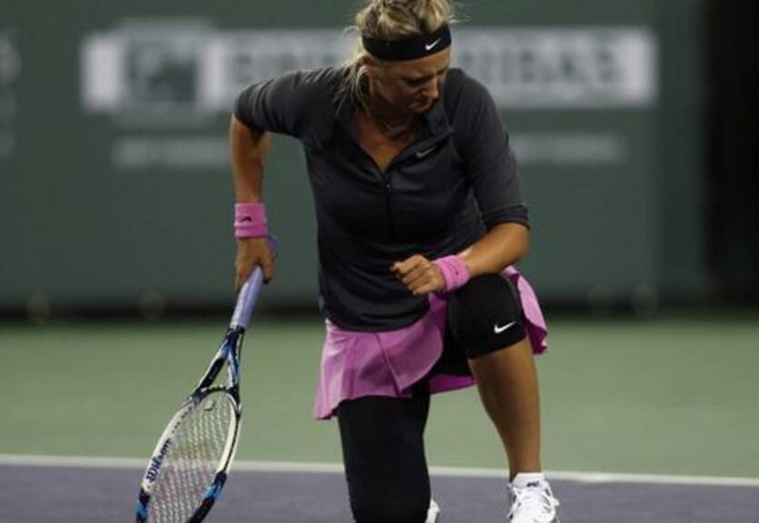 Охота на фаворитов