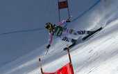Горные лыжи. Сезон для Штехерт завершен?