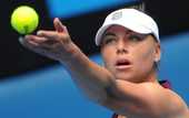 Звонарева выступит на Australian Open