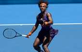 Серена Уильямс: "В прошлом году стремилась взять титул в Брисбене"