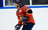 КХЛ. Медвешчак теряет защитника