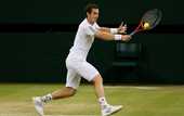 Маррей вышел в финал Уимблдона