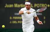 Дель Потро расправился с Феррером