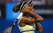 Винус Уильямс пропустит Уимблдон