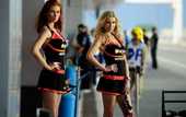 MotoGP. Страстные работницы питлейна в Катаре. ФОТО