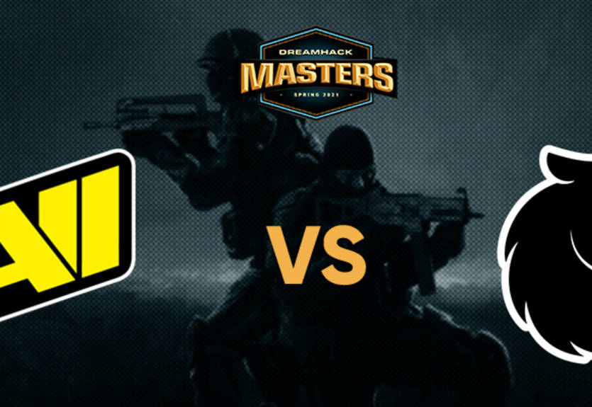 NaVi - FURIA: онлайн-трансляция матча DreamHack Masters Spring 2021