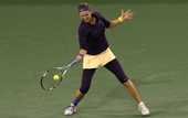 Индиан-Уэллс (WTA). Уверенная Возняцки, проблемы Азаренко, вылет Иванович