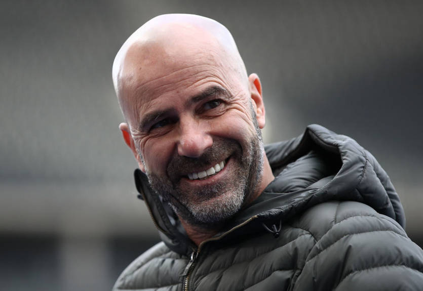 Петер Бош стал главным тренером Лиона Петер Бош стал главным тренером Лиона