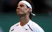 Надаль: Феррер — фаворит
