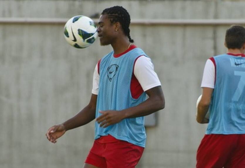 Тейку может покинуть запорожский Металлург