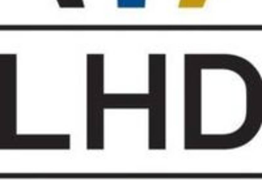 Гандбол. Перед Новым Годом ЗТР уехал в Голландию