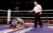 Сенченко красиво нокаутировал Хаттона