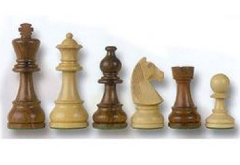 Шахматы. Командный ЧМ среди женщин пройдет в Казахстане