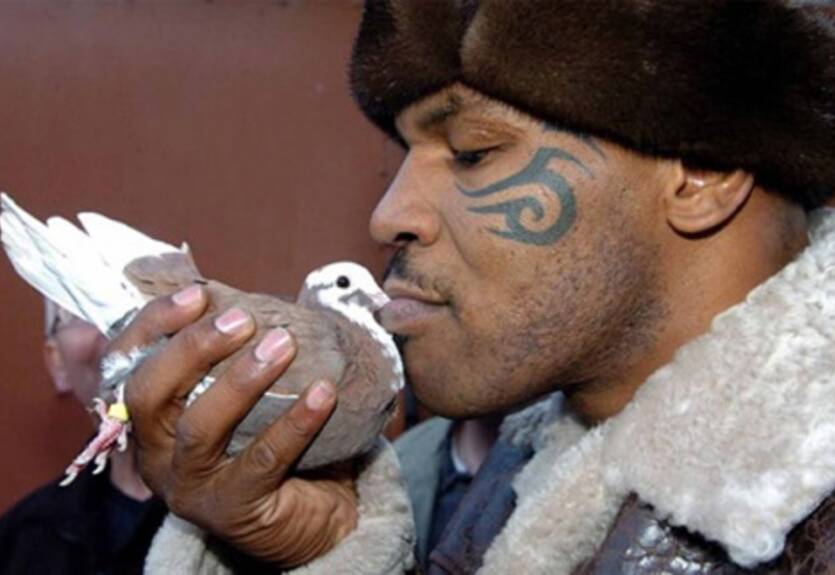 Тайсон вспылил