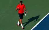 US Open. Дель Потро с боями проходит Майера