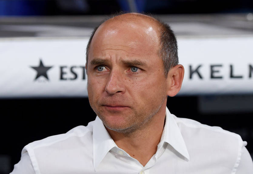 Скрипник: Постараемся улететь из Вены с хорошим настроением