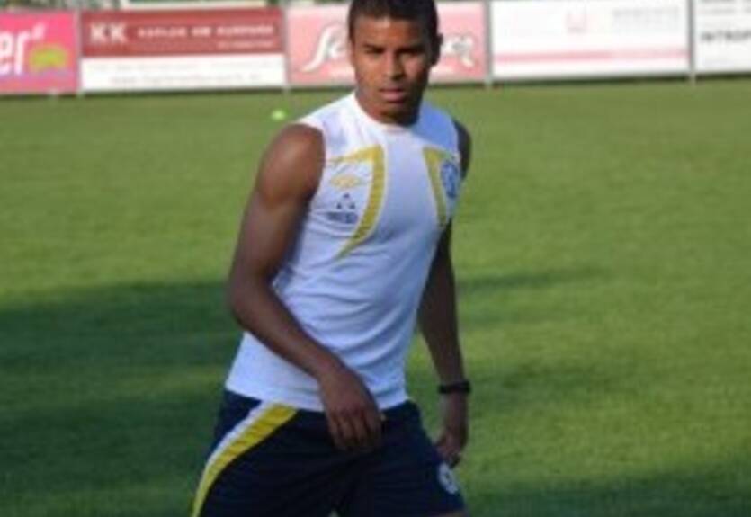 Данило и Нельсон — о спарринге с Халадашем