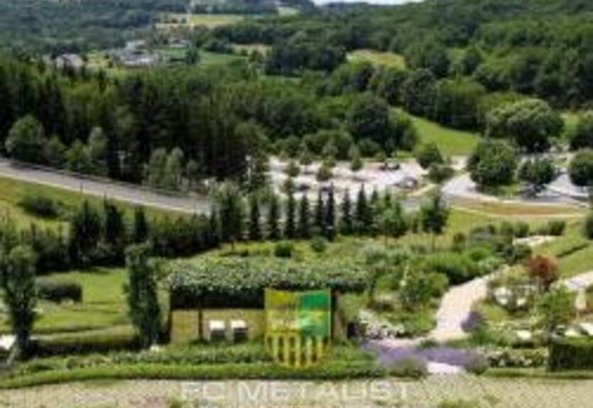 Металлист перебрался в Австрию