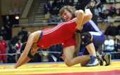 Борьба. Судьба украинской путевки на Олимпиаду по-прежнему неясна