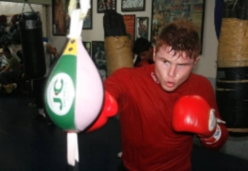 Альварес: готов к Мейвезеру в сентябре