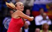 Шарапова с трудом сломила Стосур