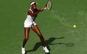 Майами (WTA). Успехи Пир и Винус Уильямс