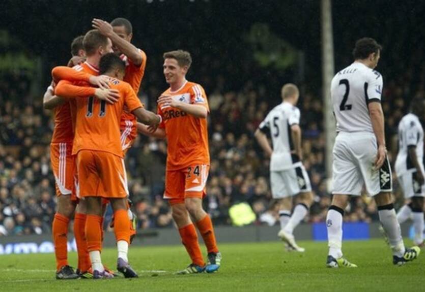 Лебеди налетели на Дачников + ВИДЕО