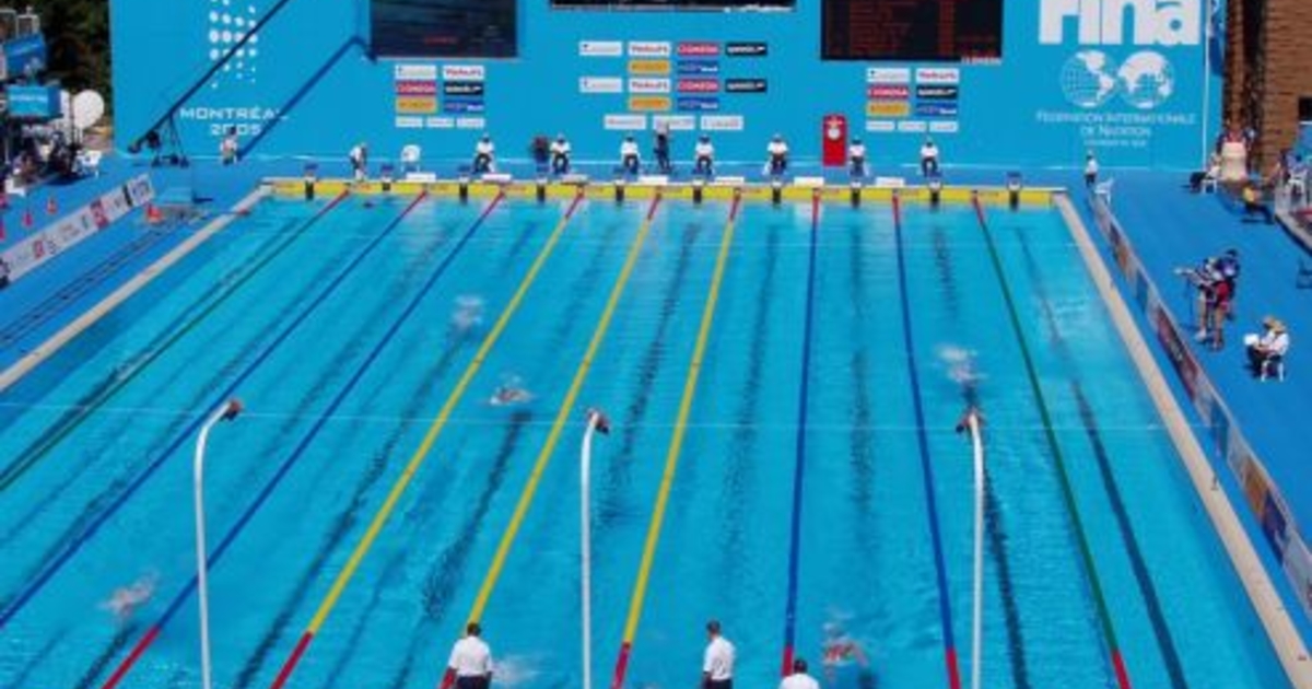 Федерация водных видов спорта