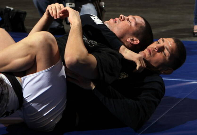 UFC 143. Открытая тренировка. ВИДЕО