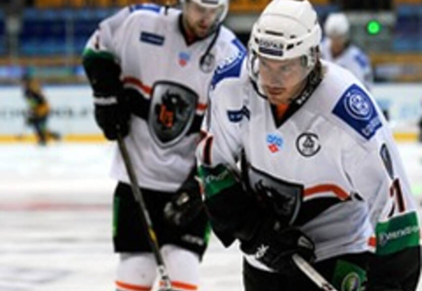 КХЛ. Лев отпустил Нетика в Швецию