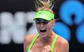 Australian Open. Шарапова — последняя четвертьфиналистка