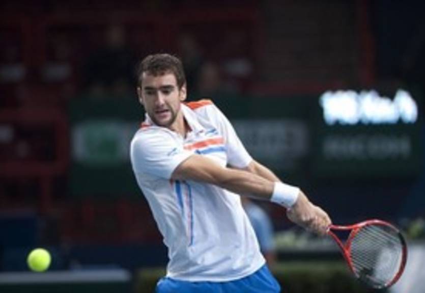 Чилич: "Отдаю предпочтение команде Испании"