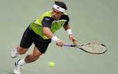 Валенсия (ATP). Феррер справился с Давыденко