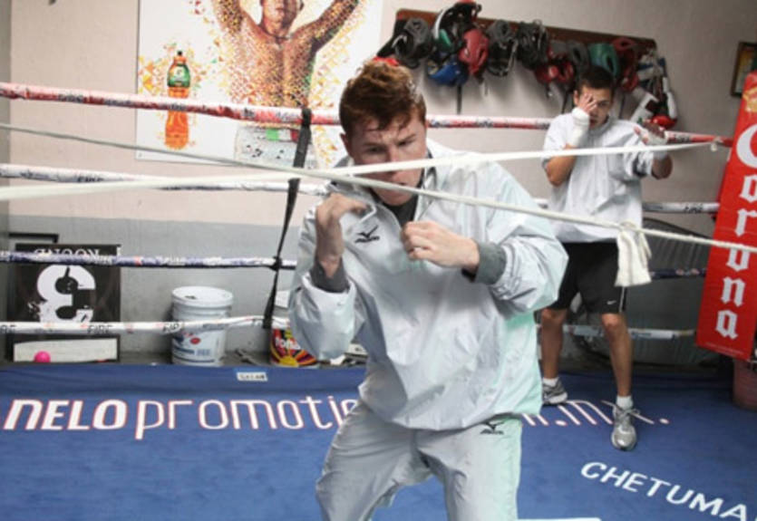 Альварес продолжает подготовку к Синтрону