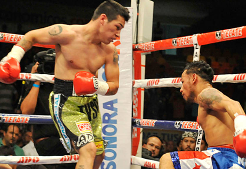 Обзор боксерского уик-энда 29-30 октября