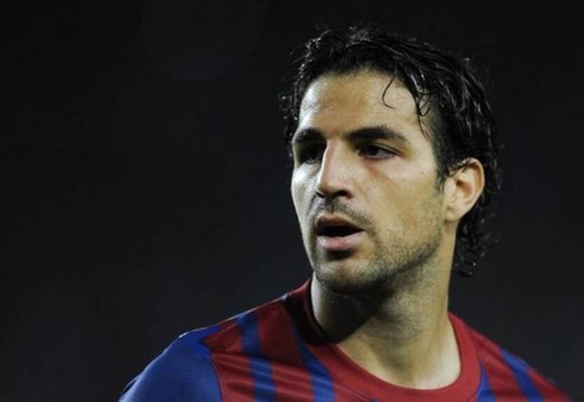 Сеск отвергает обвинения в расизме