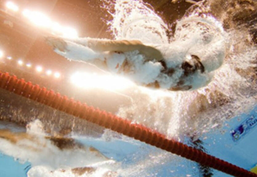 Водные виды. ЧМ. Программа двенадцатого дня