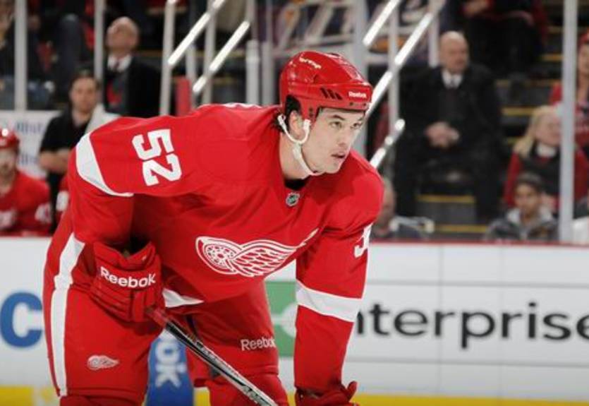 НХЛ. Резервный вратарь и защитник хотели бы остаться в Детройте