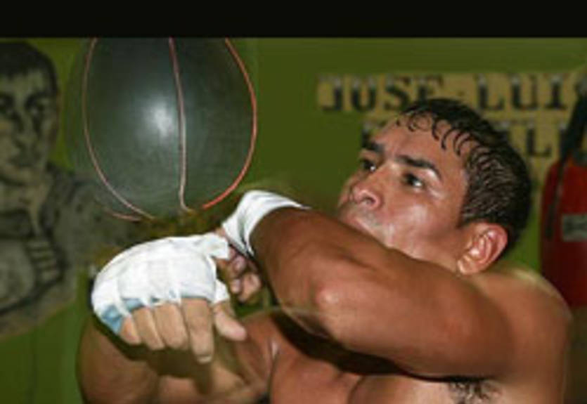 Рафаэль Маркес выйдет в ринг 18 июня