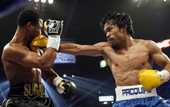 Паккьяо без проблем расправился с Мосли