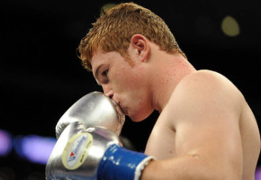 Альварес поддержал Моралеса