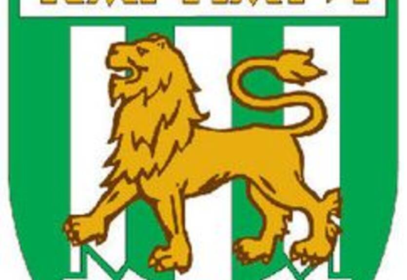 Карпаты сыграют с московским Динамо