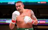 Усик может стать психологом по завершении боксерской карьеры