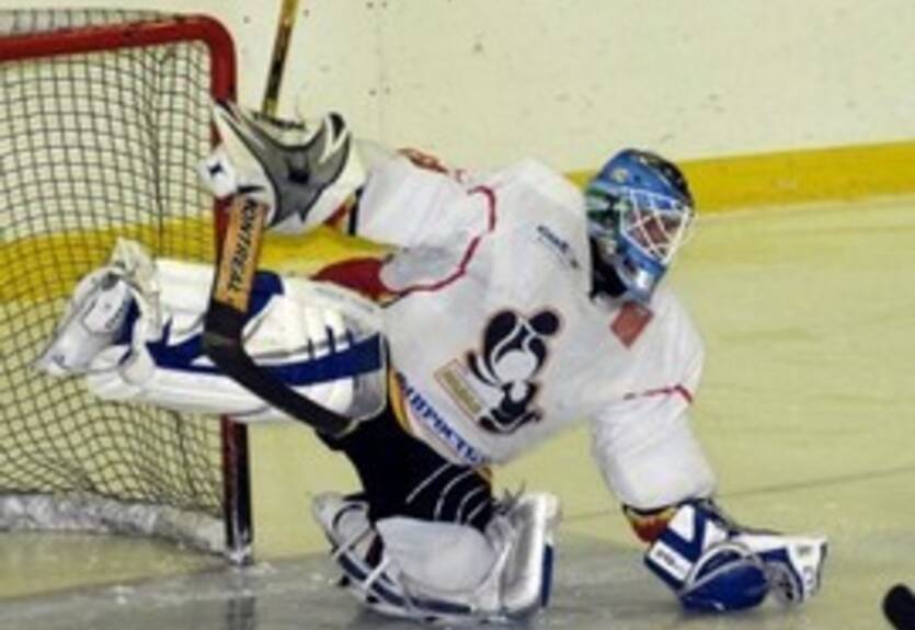 Сокол нашел замену Балабану