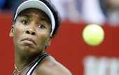 Винус Уильямс пропустит Кубок Федерации