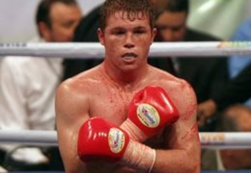 Переговоры по бою Хаттон-Альварес завершились