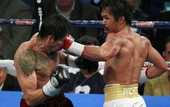 &quot;Из-за ударов Паккьяо у Тони двоилось в глазах&quot;