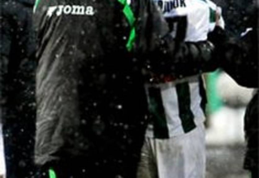 Голодюк не сыграет с Боруссией и ПСЖ