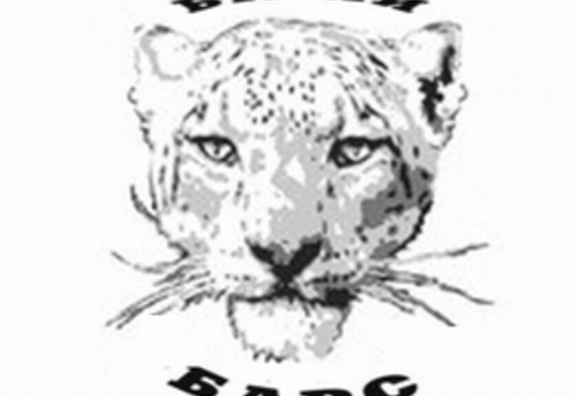 Белый Барс могут усилить экс-игроки Донбасса