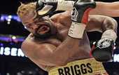 Бриггс: &quot;Травма бицепса сказалась на моём выступлении&quot;